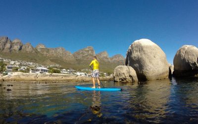 SUP IN CAPE TOWN